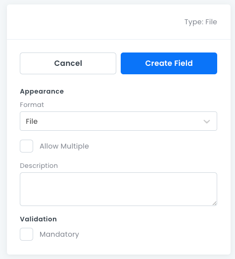 File field properties pane